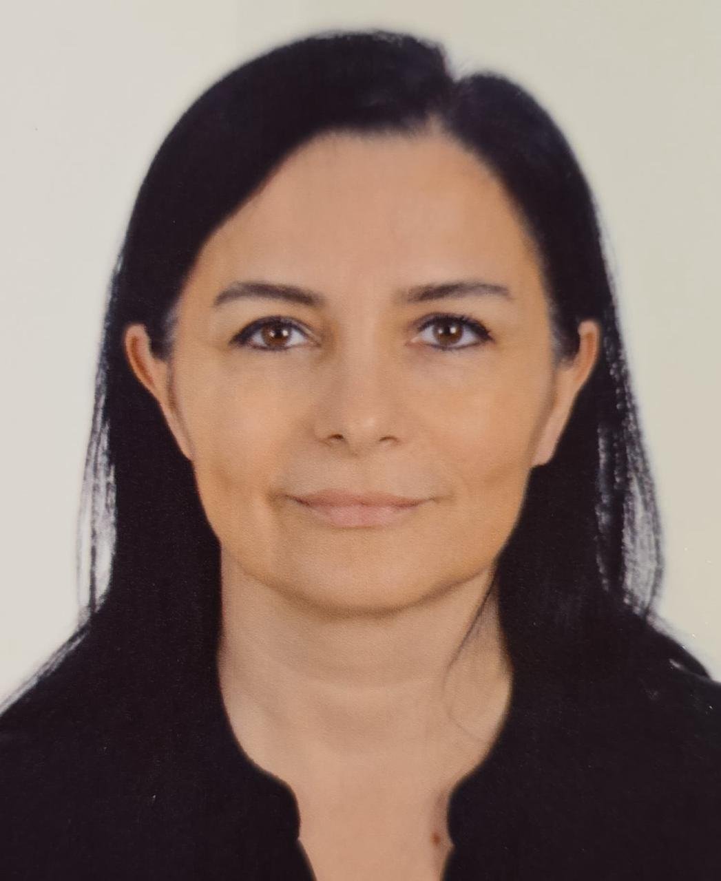 Prof. Dr. Umut GÖK
